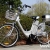 Elektrofahrrad 250W / 36V E-Bike 26